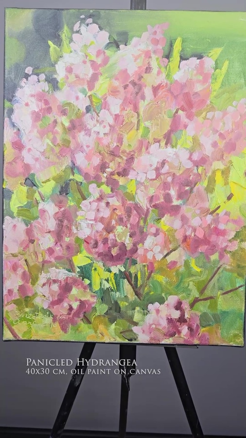 Panicled Hydrangea