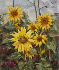 Sunflowers
