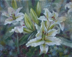 White Lily
