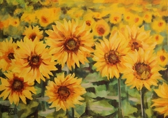 Golden Sunflowers