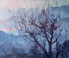 Spring Evening