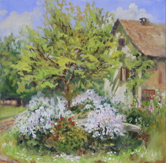 Blossom In Spring