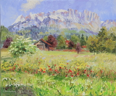 Poppies
