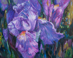 Lilac Iris