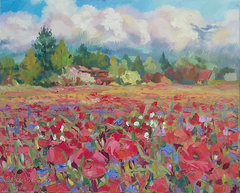 Poppy Field On a Sunny Day