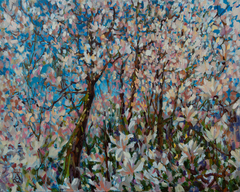 Magnolia Blossom