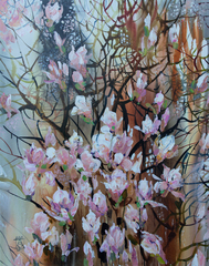 Magnolia
