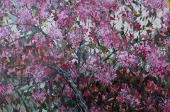 Spring Twitter