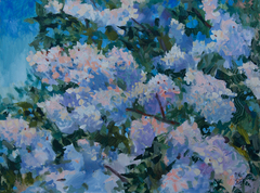 Sunny Lilac