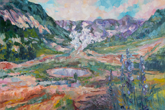 The Valley of Geysers