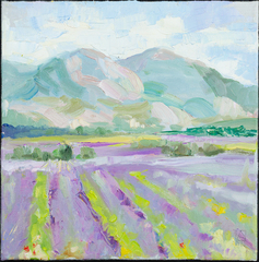 Luxury of Provence