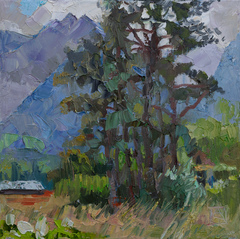 Pine Trees. Heuwiese, Weite