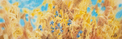 Corn Flower