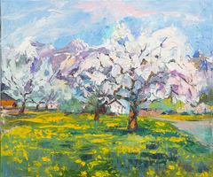 Cherry Trees
