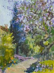 Jacaranda