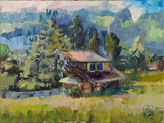 House With The Pink Roof