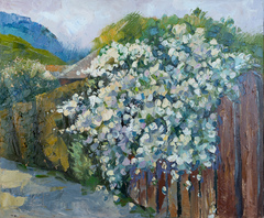 Spring Joy 2