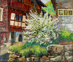Spring in Werdenberg
