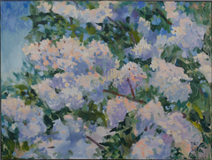 Sunny Lilac