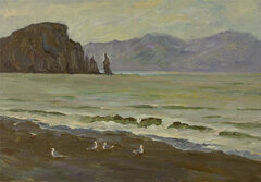 Чайки ходят по песку