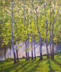 Солнце и березы