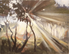Light