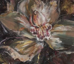Wild Orchid