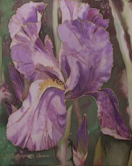 Iris