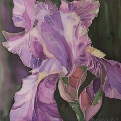 Iris 2
