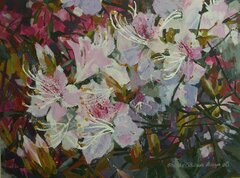 Springtime Blossoming