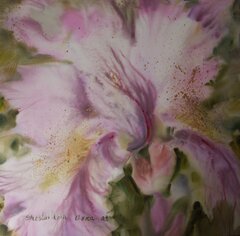 Tenderness Of Petals