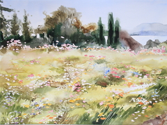 Reichenau