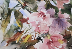 Cherry flowers