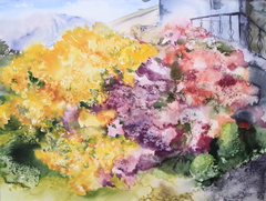 Rhododendrons
