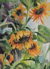 Sunflowers