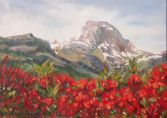 Rhododendrons Flourish