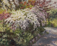 Springtime Lane